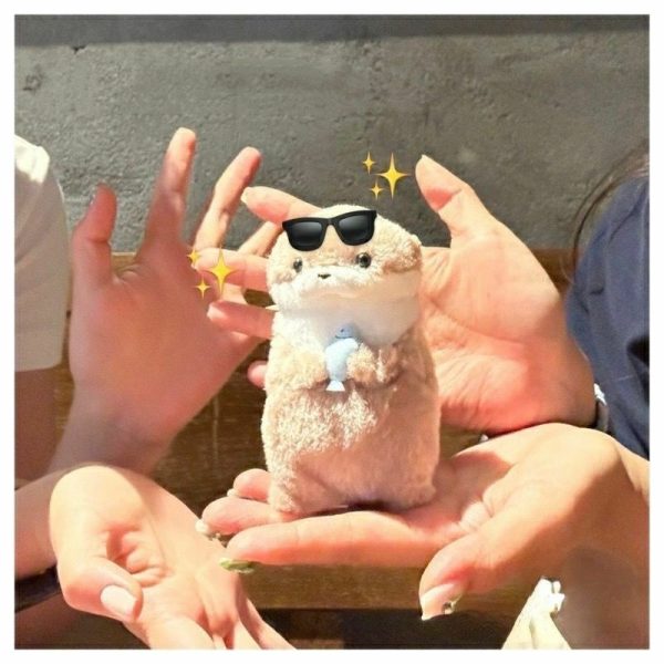 Cute Little Otter Stuffed Fish Doll - Image 5